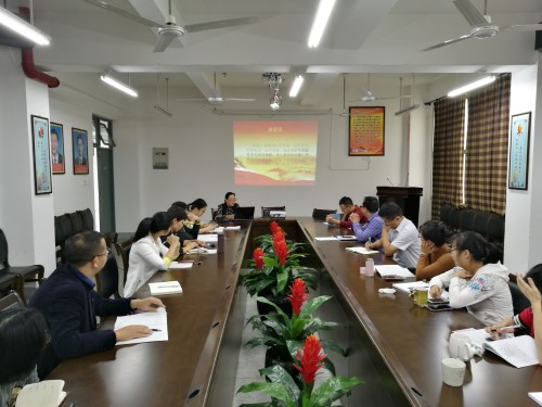 公司开展学习“十九大”会议精神主题党日系列活动