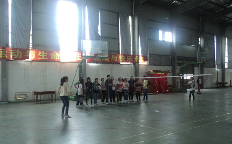 经济公司新生羽毛球赛圆满落幕